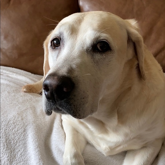 Meet your Posher - Picture 1 of 1